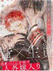 我独自升级